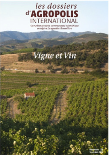 COMMUNIQUÉ : Vigne ...